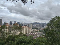 -板樟山森林公园