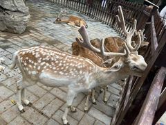 -西安秦岭野生动物园