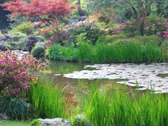 -杭州植物园