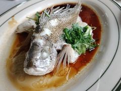 -八仔大富楼·河鲜(西江店)