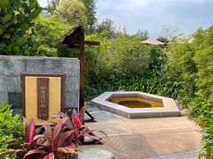 -台山颐和温泉城