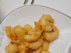 -京城·森鸽排档(双井店)