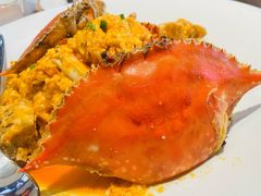 -连鹭海鲜·海肠捞饭·海胆饭(星海店)