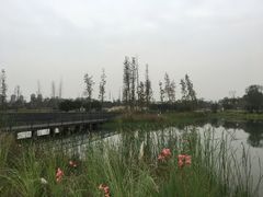 -白鹭湾湿地公园