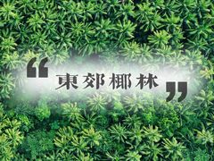 -东郊椰林