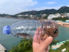 -枸杞岛