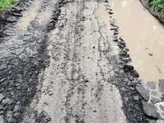 -东平国家森林公园