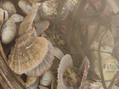 招牌一笼海鲜-船梆煮•蒸汽海鲜·炉火烤肉(五四广场店)