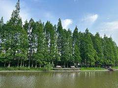 -江心屿景区
