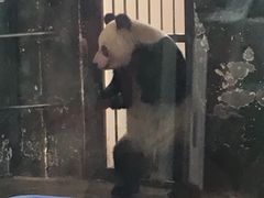 -临沂动植物园