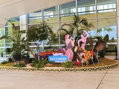 -德宏芒市国际机场