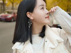 -三里屯东五街银杏大道
