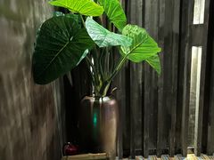 -观唐足道SPA养生会馆(南湖店)