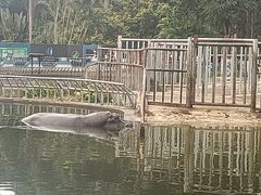 -南宁市动物园