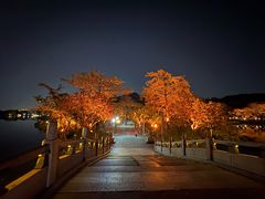 -惠州西湖风景名胜区-丰渚园