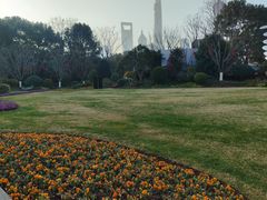 -上海港国际客运中心