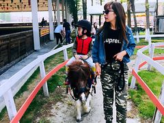 -太阳岛度假酒店