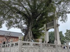 -揭阳学宫(榕城区)