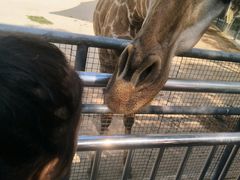 -泉州海丝野生动物世界