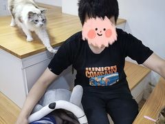 -李小姐の猫咖啡馆(五角场店)
