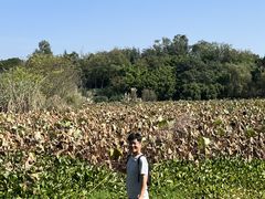 -白鹭湾湿地公园