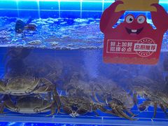 -七欣天香辣蟹火锅(无锡锡沪西路店)