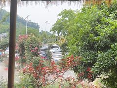 -正宗火盆自助烧烤·烤全羊·柴火鸡(龙泉山店)