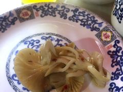 黄金菇-仙蘑洞