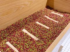 -炖物24章·顺时轻养茶(杭州保利时光里店)
