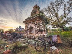 -奥兰多迪士尼动物王国乐园