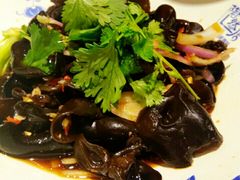 美极小木耳-陶然居·重庆菜(鱼洞老街店)