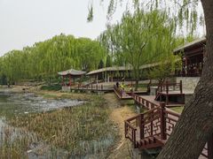-北坞公园