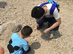 -西涌国际滨海旅游区