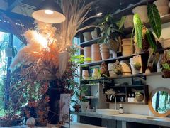 -自由生长植物工作室(深港花卉中心店)