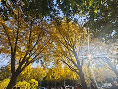 -漆黑觉米粉(三里屯店)