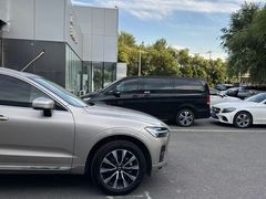 -XPEL旗舰店·汽车贴膜·隐形车衣·改色贴膜