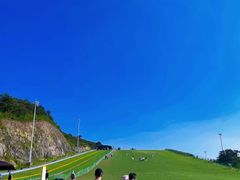 -西岭雪山大飞水景区