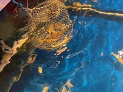 景观位-钳真多钓虾馆·小龙虾海鲜烧烤(九六广场店)