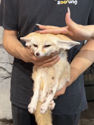 -Zoolung Zoolung动物主题公园(海信广场店)