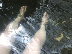 -龙达温泉生态城
