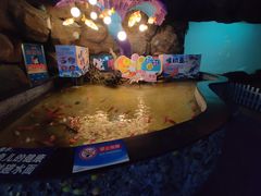 -烟台海昌鲸鲨海洋公园