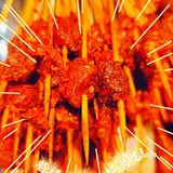 放假就要去吃串串