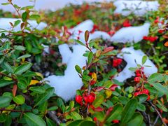 -江南大学(蠡湖校区)