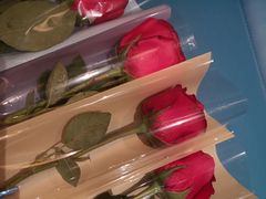 -凤凰湘语·湘粤鲜融(浦东旗舰店)