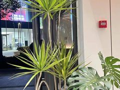 -陆声·LandSoundMusic(西溪谷店)