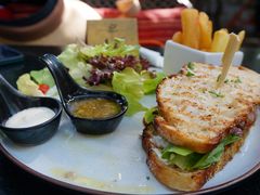 -Fern Forest Cafe