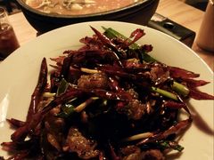 -毛辣果·酸(OHA复兴西路店)