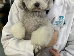 -贝利宠物医院·骨科·眼科·肿瘤转诊中心(南坪诊疗中心)