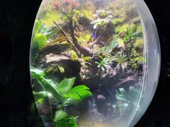 -江和美海洋公园