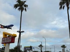 -In-N-Out Burger(LAX)